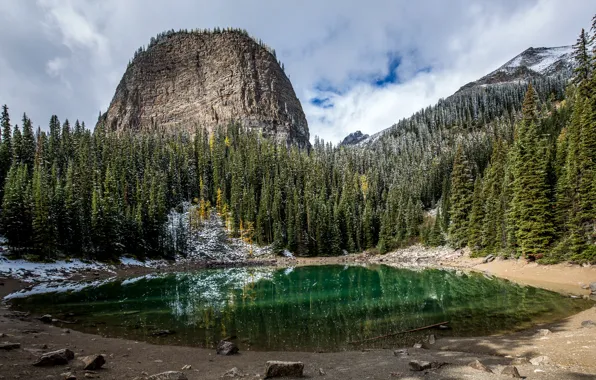 Forest, clouds, snow, trees, mountains, lake, stones, rocks