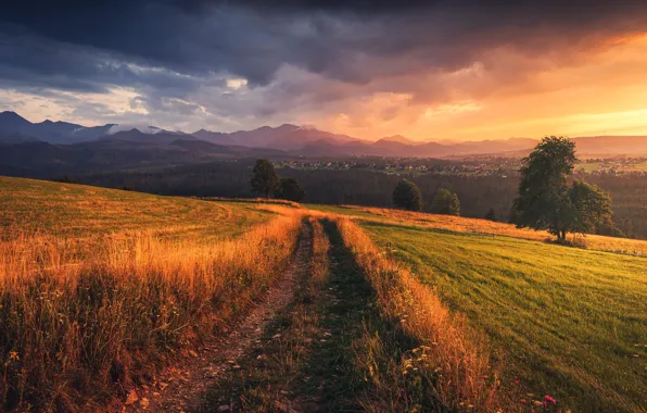 Road, field, forest, sunset, mountains, dal, slope, village