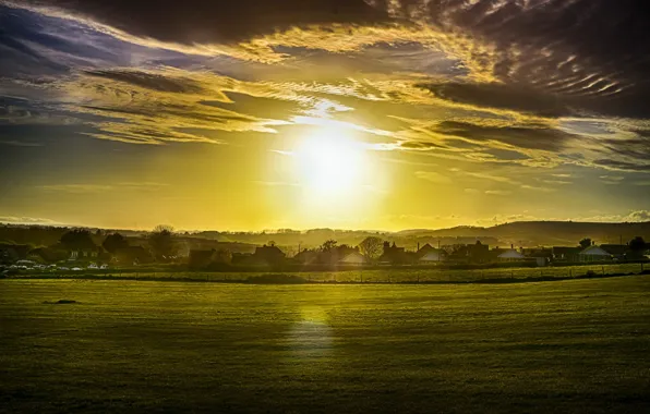 Field, landscape, sunset