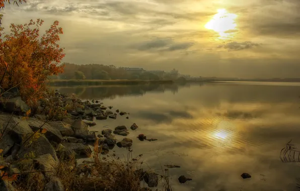 Picture autumn, trees, fog, river, stones, dawn, shore, home