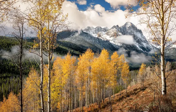 Picture autumn, mountains, nature