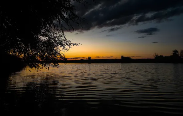 Sunset, Water, Tree, Leaves, Channel, The village