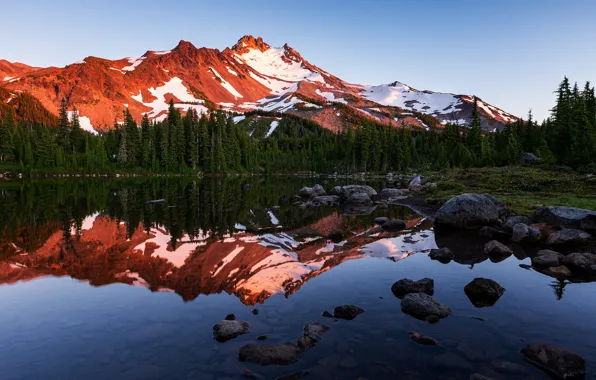 Forest, the sky, water, trees, mountains, lake, reflection, stones