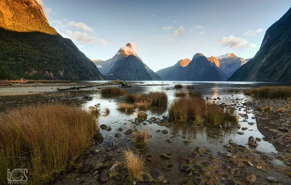 Picture New Zealand, the fjord, South island, Milford Sound, the Fiordland national Park