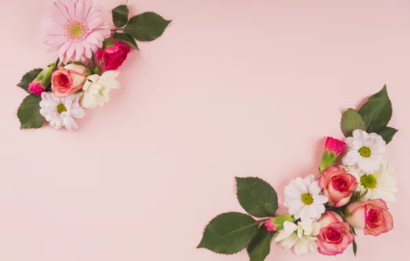 Flowers, Background, Buds, Roses, Gerbera, Chrysanthemum