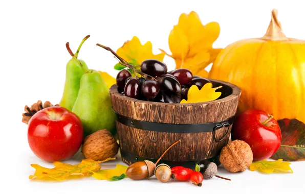 Picture autumn, leaves, yellow, apples, briar, grapes, white background, pumpkin