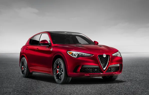 Alfa Romeo, SUV, Alfa Romeo, Four-leaf clover, Stelvio
