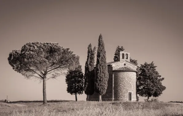 Field, trees, Italy, Tuscany, Chapel Of Our Lady Of Vitaleta