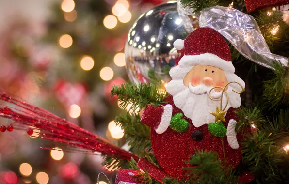 Decoration, toy, Santa Claus