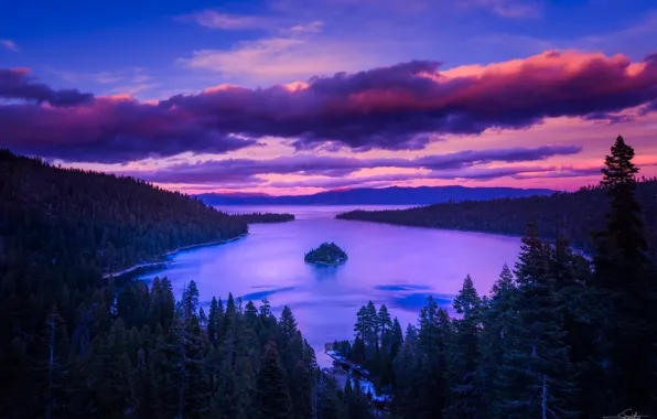 Forest, trees, mountains, lake, dawn, island