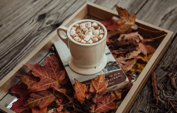 Autumn, Board, book, drink, box, dessert, cocoa, autumn leaves