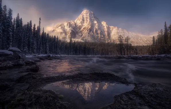 Picture forest, the sky, mountains, nature, reflection