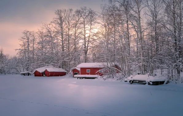 Picture winter, snow, house