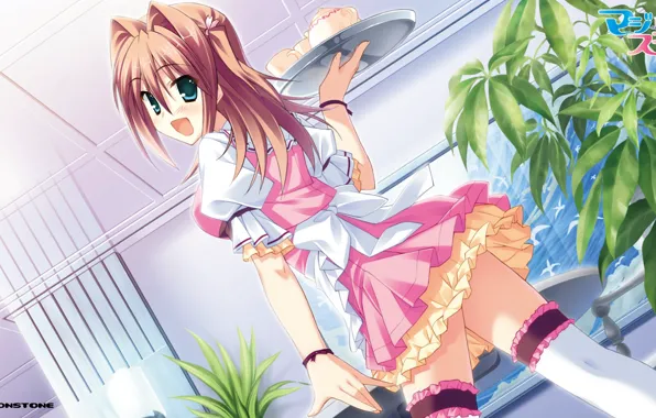 Plants, stockings, the maid, tray, ruffles, visual novel, in a cafe, from the back
