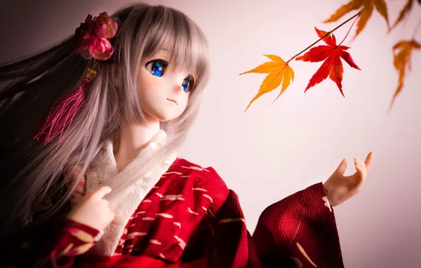 Doll, kimono, maple