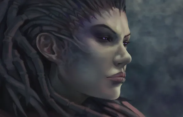 Face, zerg, Sarah Kerrigan, StarCraft, queen of blades