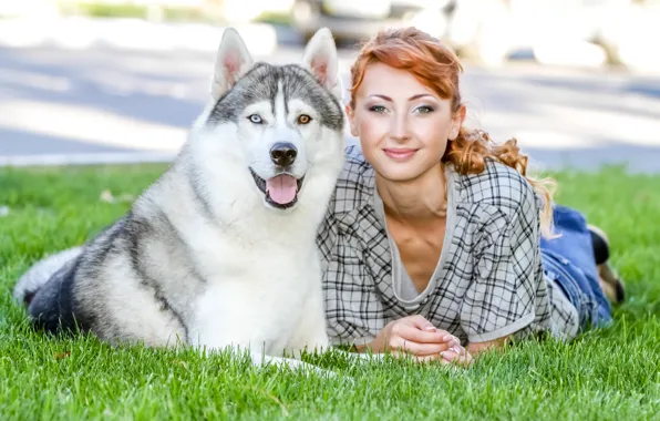 Picture greens, girl, lawn, dog, red, husky, on the grass, lie