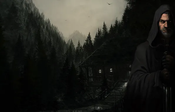 House, the darkness, the Witcher