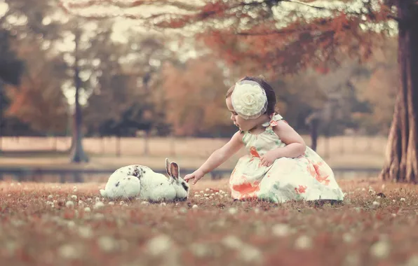 Picture rabbit, girl, bow
