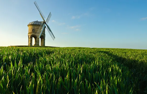 Field, the sky, grass, mill