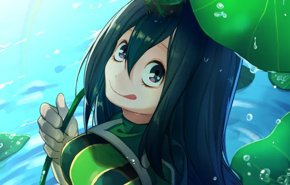 Girl, frogs, Boku no Hero Academy, My hero Academy, Asui Tsu