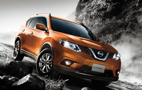 Picture SUV, Nissan, Nissan, crossover, X-Trail, x-trail, ikstreyl