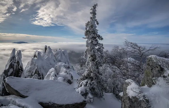 Picture winter, snow, trees, landscape, mountains, nature, rocks, national Park