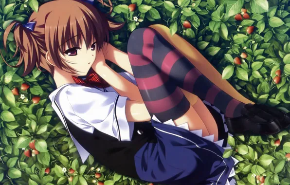 Leaves, berries, strawberries, schoolgirl, art, grisa of no kajitsu, striped stockings, sailor