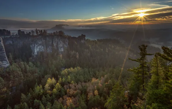 Autumn, forest, the sky, the sun, clouds, rays, light, trees