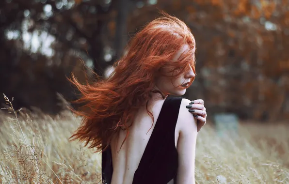 Hair, redhead, stroke, Gaelle Aube