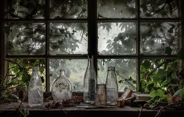 Background, window, Bank