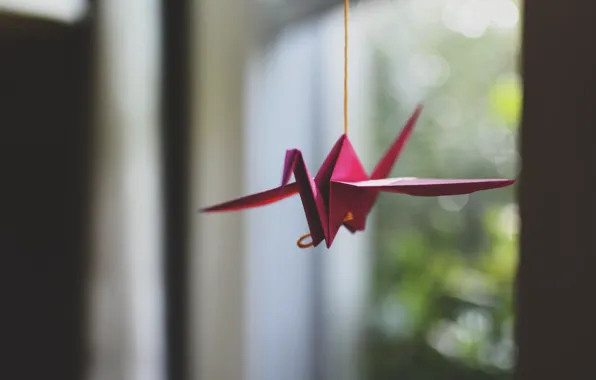 Picture paper, crane, origami
