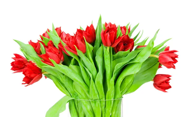 Picture leaves, bouquet, petals, tulips, vase