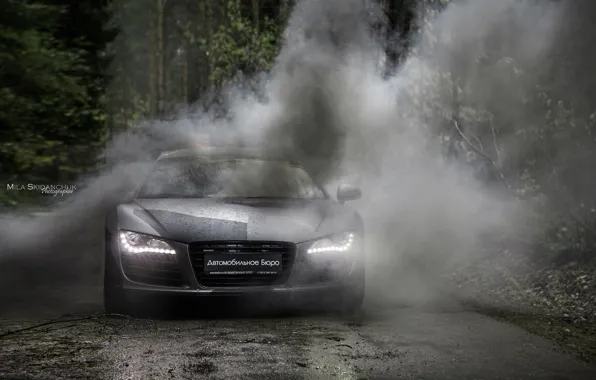 Car, machine, auto, forest, fog, rain, Audi, audi