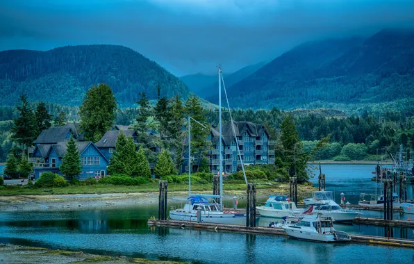 Picture forest, trees, mountains, fog, blue, shore, home, yacht