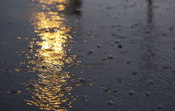 Drops, reflection, puddle