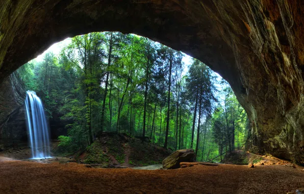 Forest, trees, rocks, waterfall