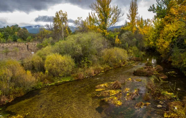 Autumn, the sky, trees, mountains, clouds, river, stream, stones