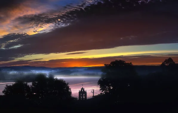 Picture fog, night, nature