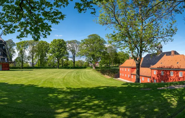 Field, house, panorama, windmill