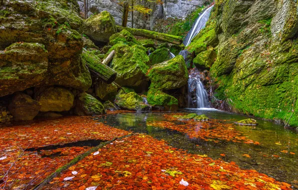 Picture autumn, leaves, orange, green, stones, waterfall, moss, red