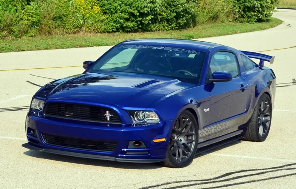 Picture Mustang, Ford, Mustang, Ford, 2013, GT4, Kenny Brown