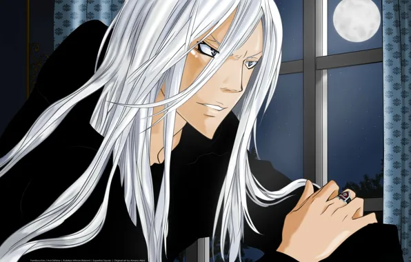 The moon, window, ring, white hair, art, katekyo Hitman reborn, shark superb, amano akira