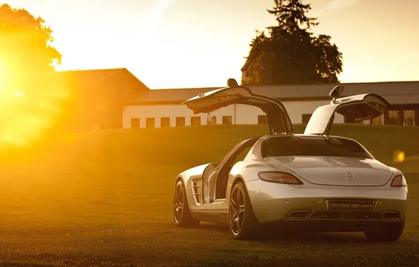 Picture the sun, background, Mercedes-Benz, door, silver, Mercedes, supercar, rear view