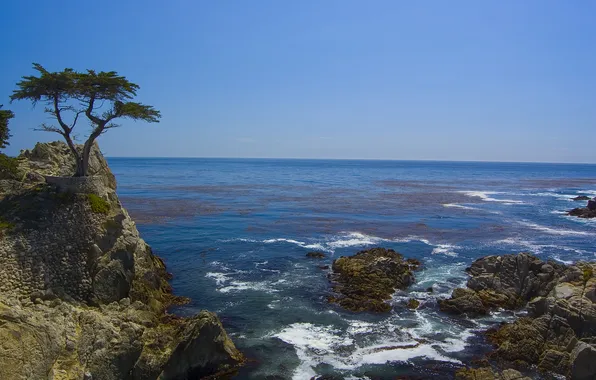 Sea, the sky, trees, rocks, shore, horizon