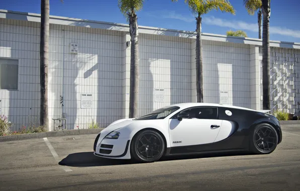 Picture Bugatti, Veyron, Super, Sport, Price, Blanc, Pur
