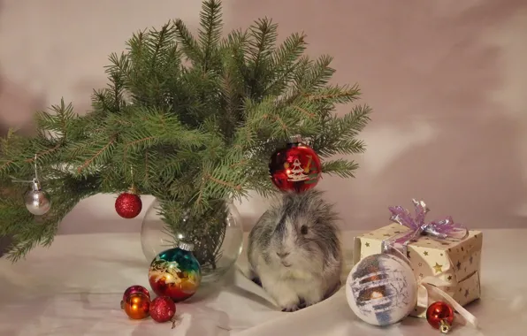 Winter, animals, decoration, tree, new year, Christmas, Guinea pig, December