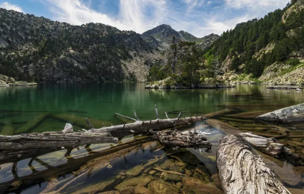 Forest, mountains, lake, rocks, shore, ate, log, logs