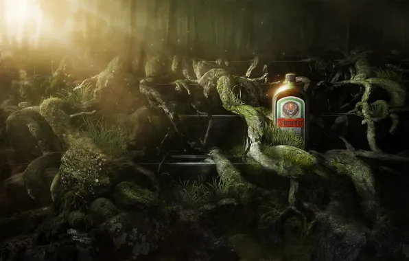 Alcohol, jagermeister, liqueur