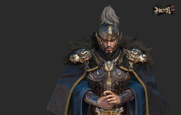 Weapons, the game, sword, warrior, art, the leader, The King, Lin zhang